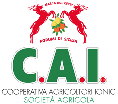 CAI a.r.l.