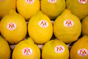 limoni agrumi siciliani