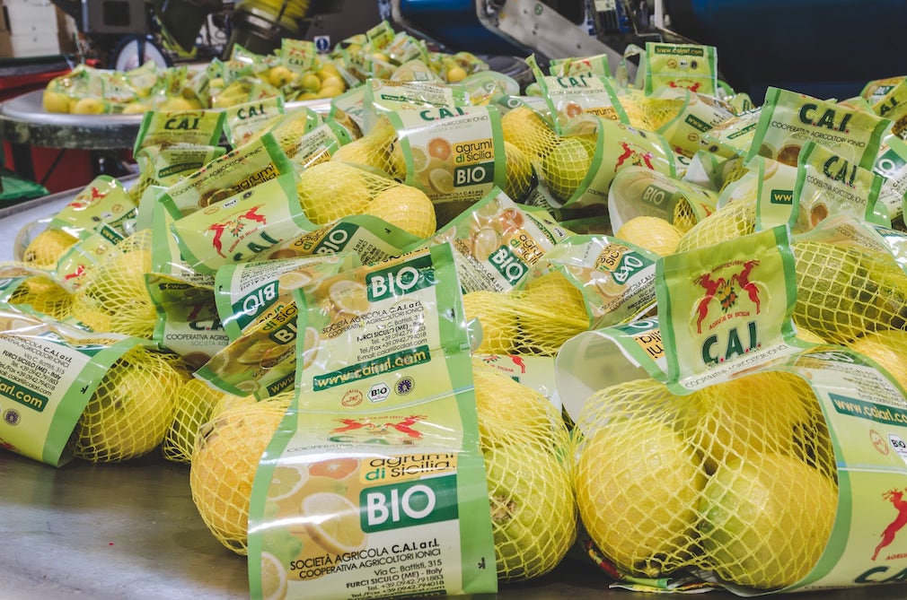 limoni biologici agrumi siciliani