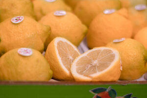 limoni agrumi siciliani