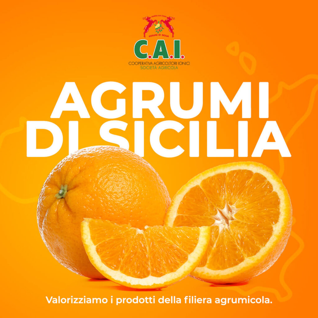 agrumi siciliani