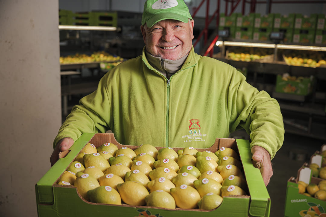 Uomo sorridente con cassa di limoni.