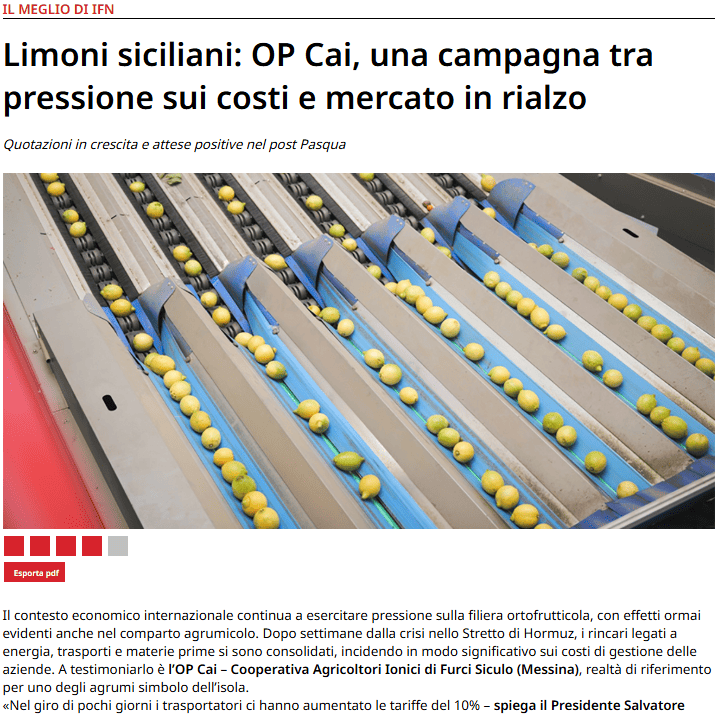Limoni-siciliani-articolo-IFN